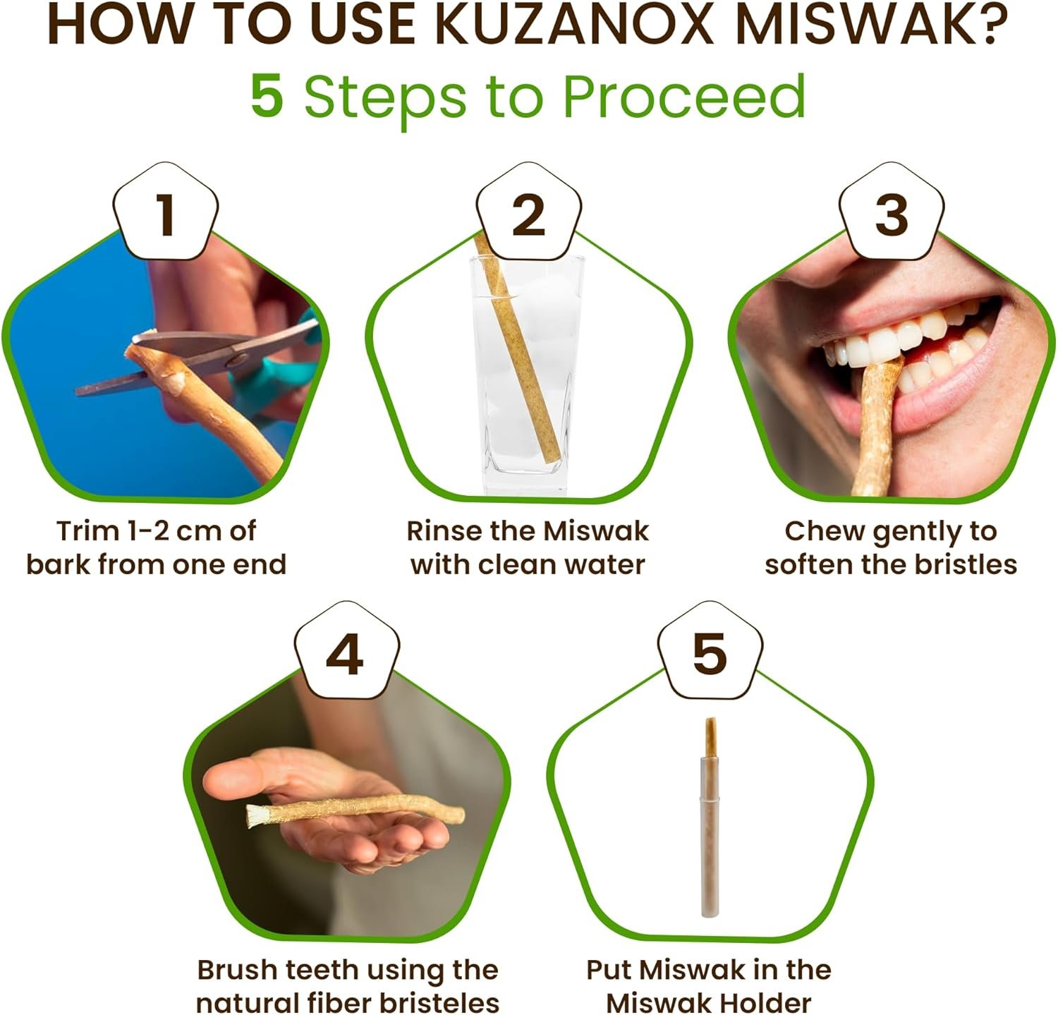 Miswak Sticks for Teeth Pack of 3 with Holder - Image 4