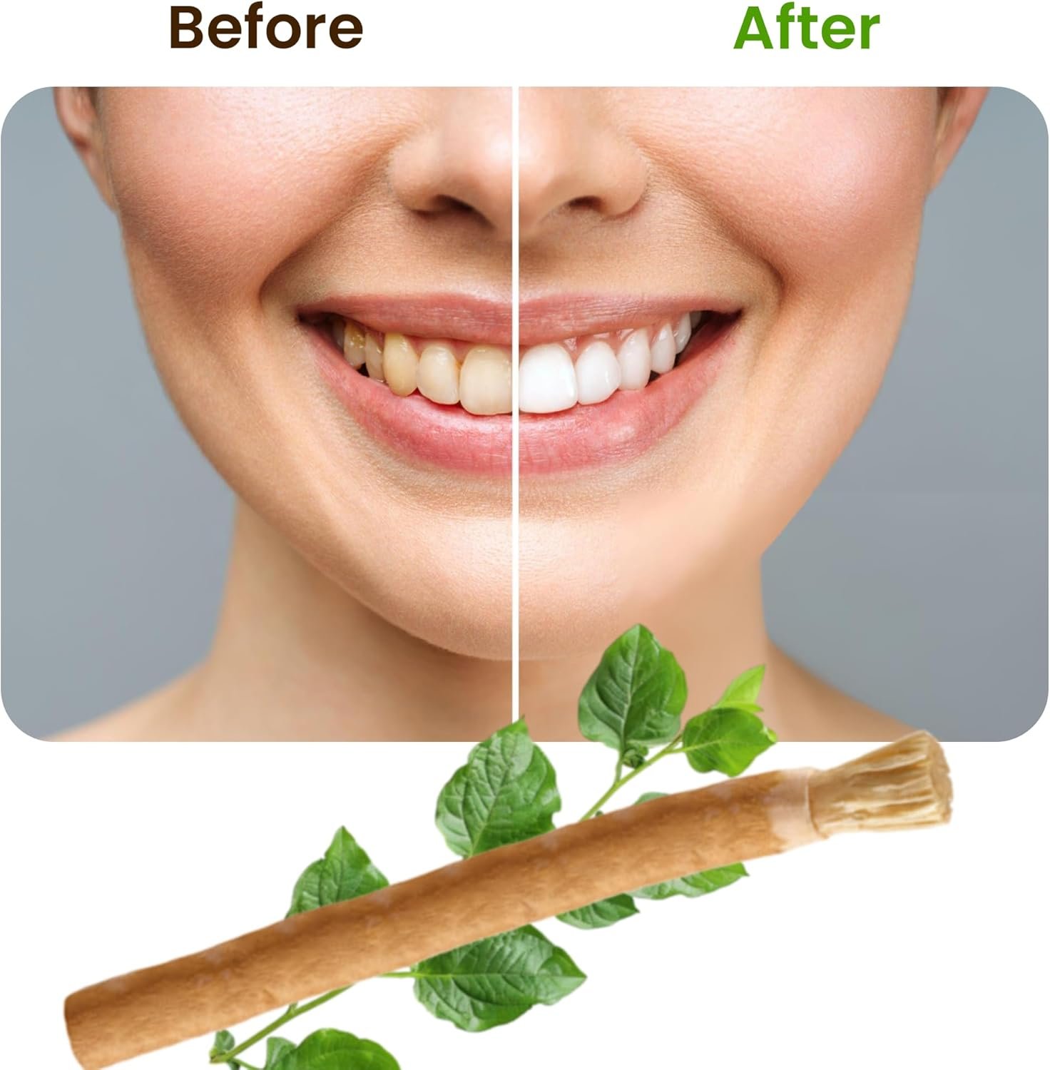 Miswak Sticks for Teeth Pack of 3 with Holder - Image 7