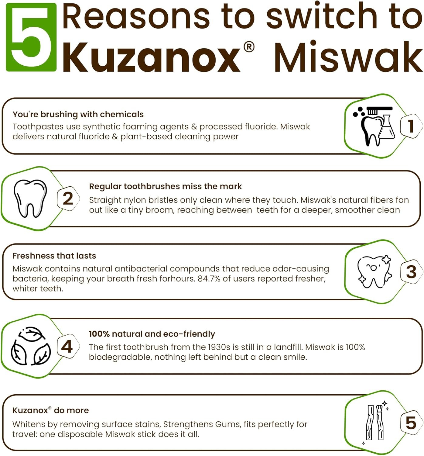 Miswak Sticks for Teeth Pack of 3 with Holder - Image 3